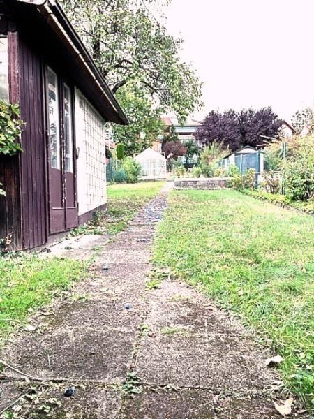 Ansicht Garten