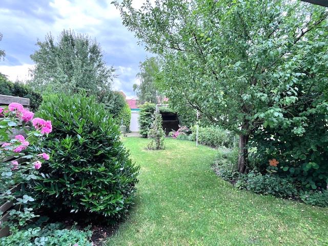 Blick in den Garten